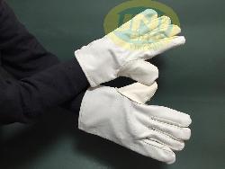 Găng tay vải bạt trắng GV001