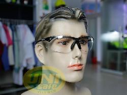 Kính bảo hộ Sperian A900 trong K022